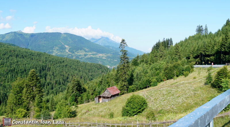 Pasul Prislop