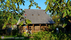 Muzee tematice