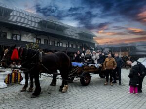 Facilitati si servicii la Pensiunea Potcovaru