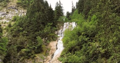 Cascada Cailor Borsa