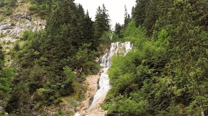Cascada Cailor Borsa